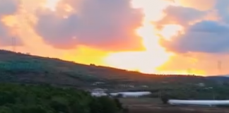 Kuçovë | Në zemër të agroturizmit familjar “Hani i Qerosit”