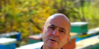 Njihuni me Stavri Nito, një bletërritës me përvojë dhe pasion!