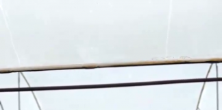 Kledi Sotiri, pas gati 3 vitesh pune në kuzhinë, zgjodhi të rikthehet në Divjakë