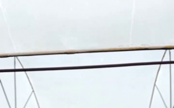 Kledi Sotiri, pas gati 3 vitesh pune në kuzhinë, zgjodhi të rikthehet në Divjakë