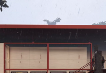 Projekti Tale 2019 – Kabinat e Plazhit në Tale, Mes Pishave dhe Detit