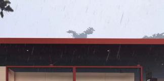 Projekti Tale 2019 – Kabinat e Plazhit në Tale, Mes Pishave dhe Detit