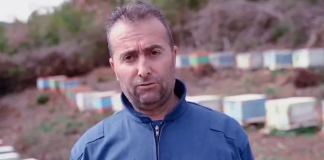 Pas 30 vitesh, Fatosi dhe familja e tij janë rikthyer në vendlindje me një vizion të ri: investimi në “Bletën e egër” në tokën e vet