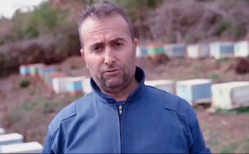 Pas 30 vitesh, Fatosi dhe familja e tij janë rikthyer në vendlindje me një vizion të ri: investimi në “Bletën e egër” në tokën e vet